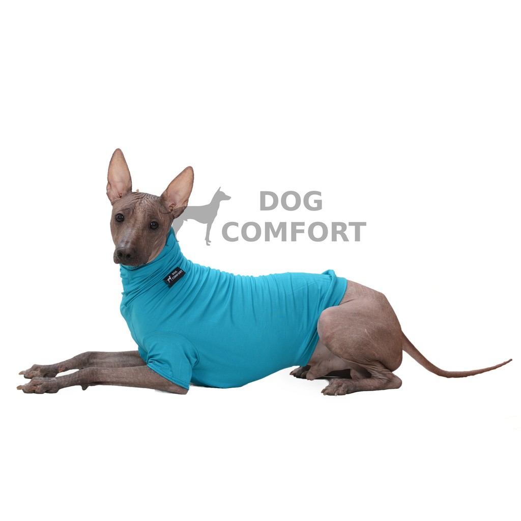 comfort shirt for dogs