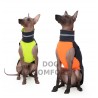 Vesta OUTDOOR STRETCH NEON