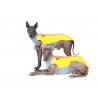 Fleece waistcoat SPORTY SPRING LIMITED SERIES