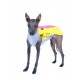 Fleece waistcoat SPORTY SPRING LIMITED SERIES