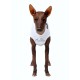 Singlet BAMBOO