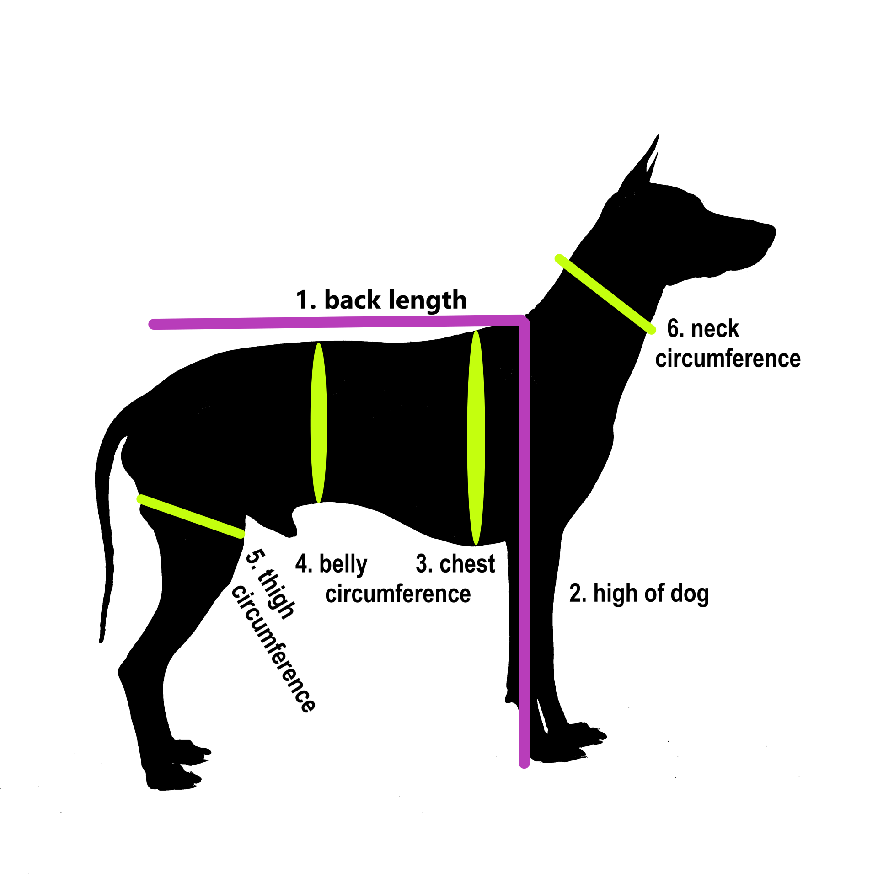 Dog's measures
